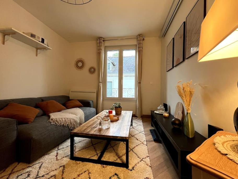 Apartment T3 Cinema - Centre Historique, Bord De Loire *